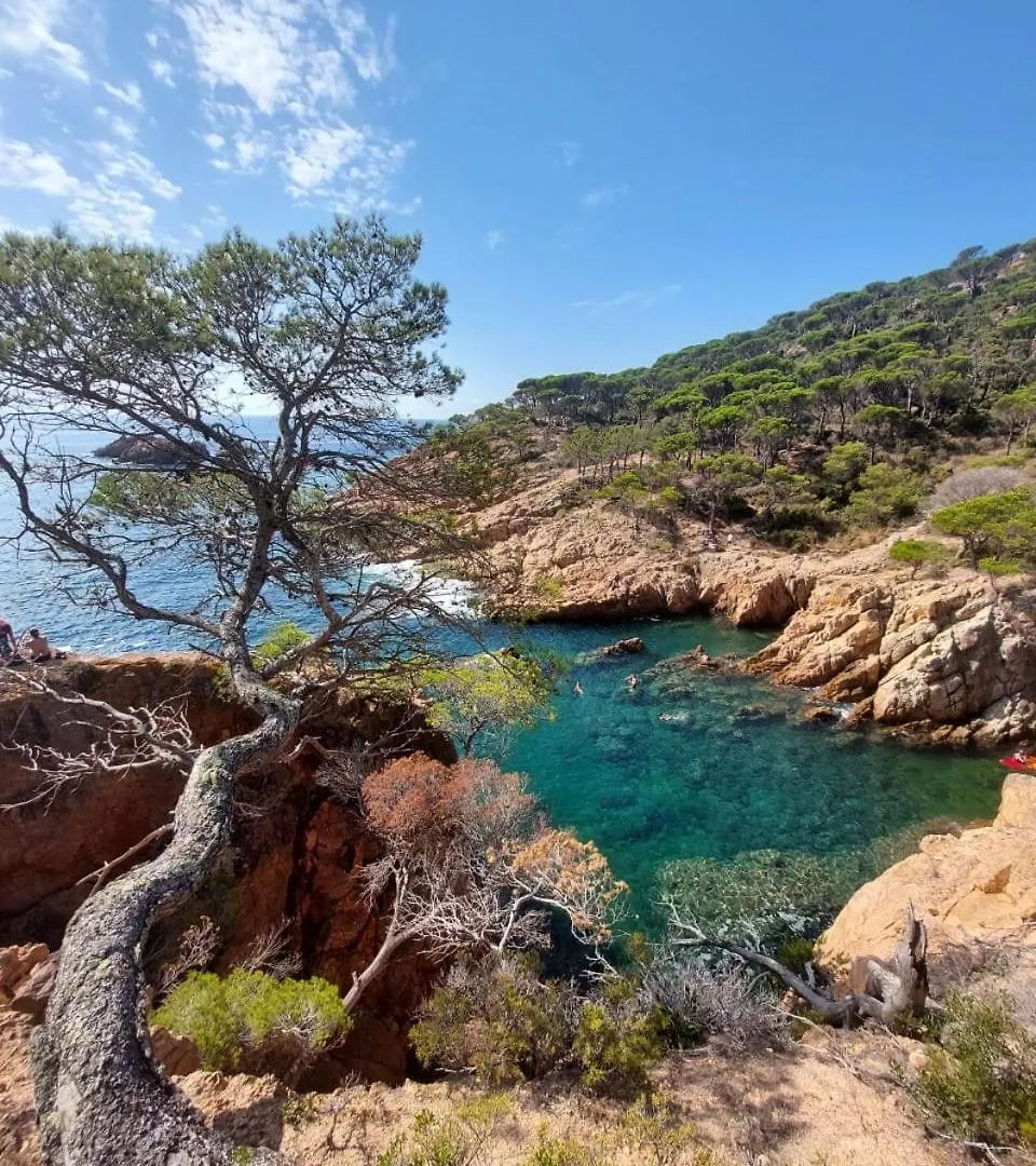 Begur Sa Riera, Appartement De Charme, Jardin, Pour 4 Personnes A 5Mn De La Plage Apartman