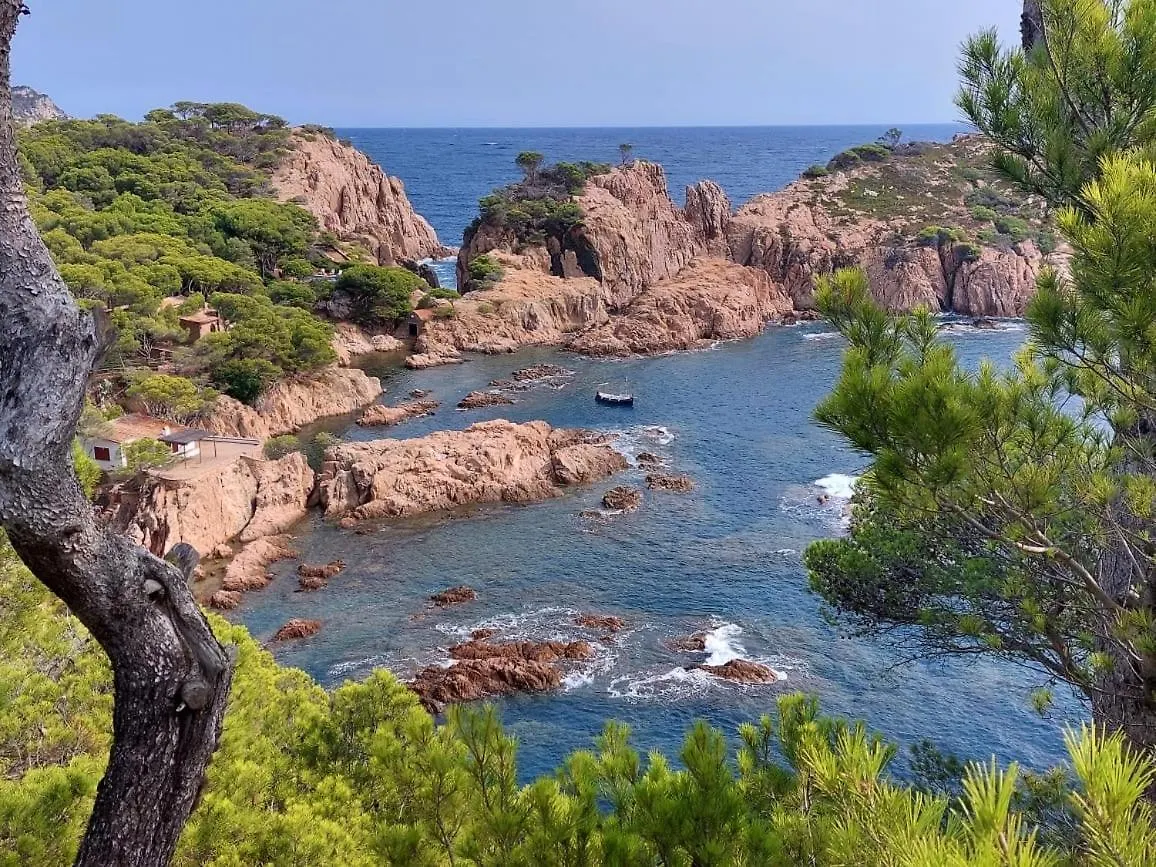 Apartman Begur Sa Riera, Appartement De Charme, Jardin, Pour 4 Personnes A 5Mn De La Plage Spanyolország